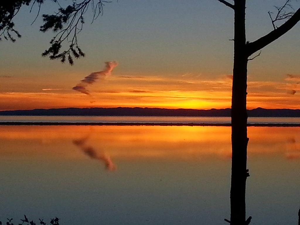 Greenhouse Inn By The Bay Sequim Exteriör bild